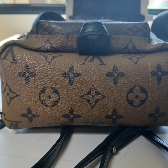 LV Louis Vuitton Palm Springs Mini Backpack with LV Buttons main image 4